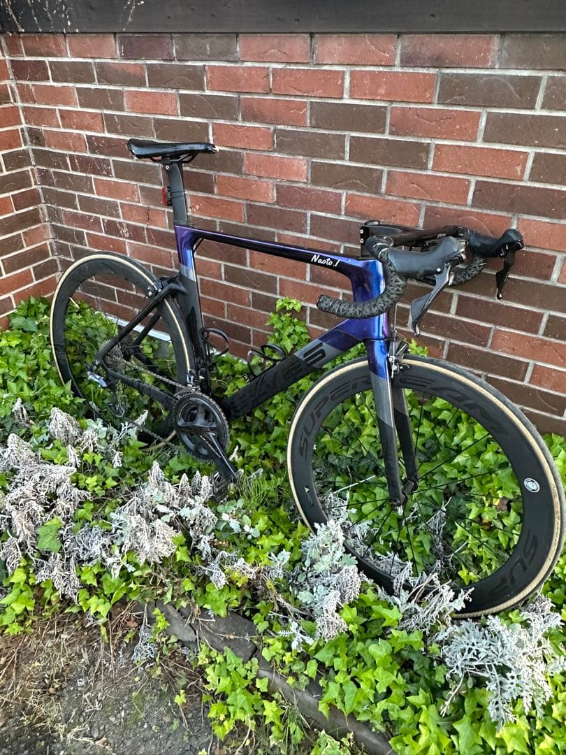 ELEVS FALATH PRO ファラスプロ　完成車