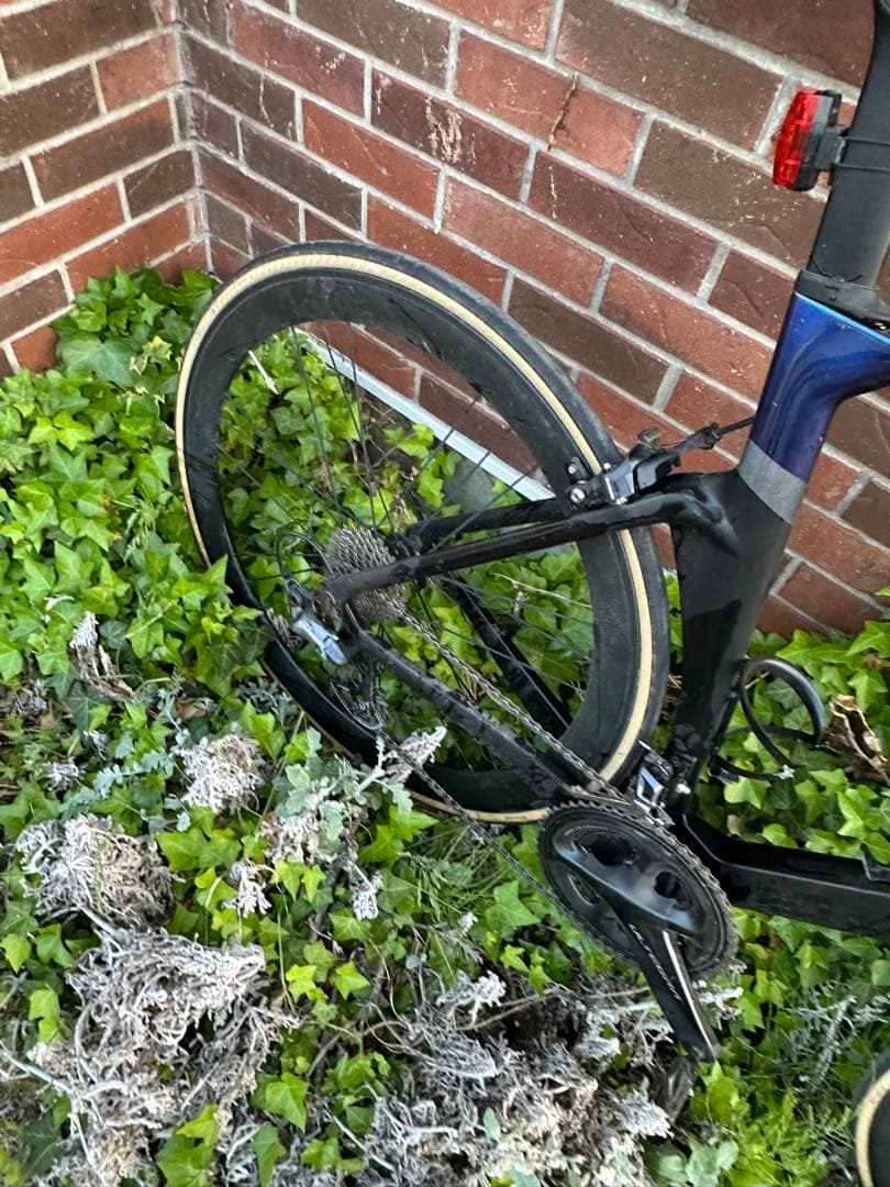 ELEVS FALATH PRO ファラスプロ　完成車