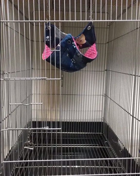 モモンガハウス(あじさい)  夏仕様   涼しい夏生地を使用❗️1600円