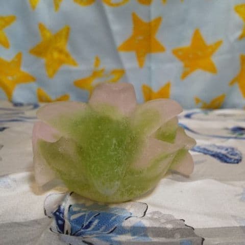 Daum FRANCE ②　ドーム