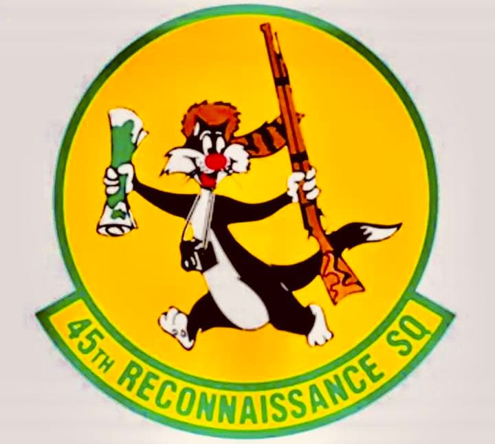 USAF米空軍＊ルーニー・テューンズ七宝シルベスター・キャット爆撃機スコードロン