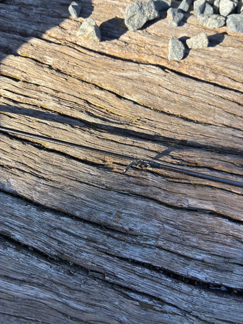 ダイワ　スティーズ　リアルコントロール　S61L-SV 美品