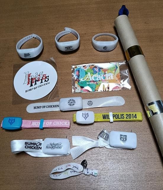 BUMPOFCHICKEN　Sphery　Rendezvous &コレクション品