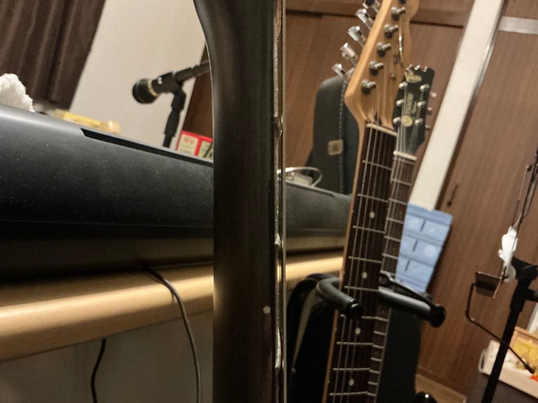 Bacchus BTE-TW オールローズ風 テレキャスター ジョージハリスン