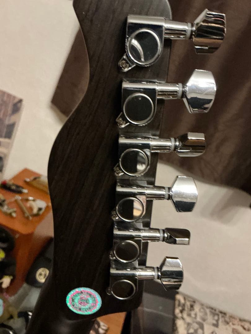 Bacchus BTE-TW オールローズ風 テレキャスター ジョージハリスン