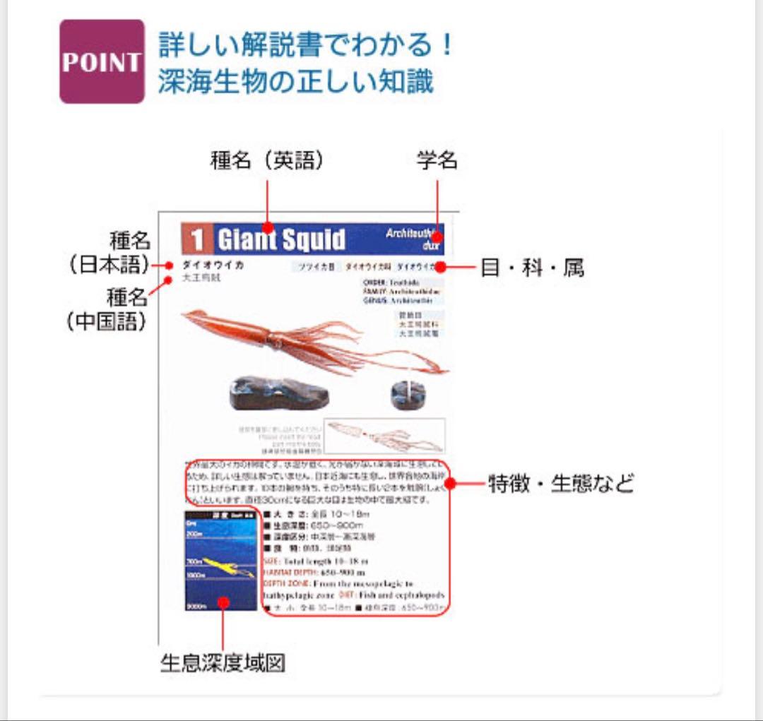 最終値下げ　即日発送　新品 カロラータ 立体図鑑 深海生物プレミアム ボックス