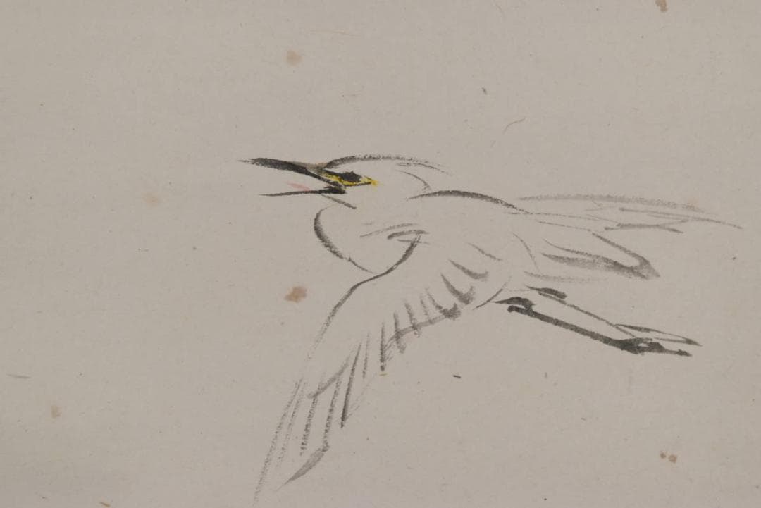 【真作】荒木寛畝/芦に鷲図/掛軸/名家伝来/AA-495