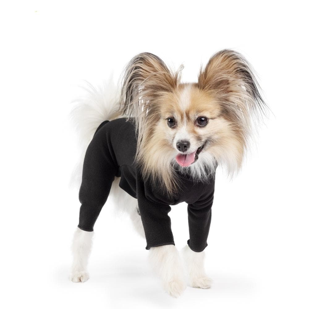 ダリア　ブラック2点