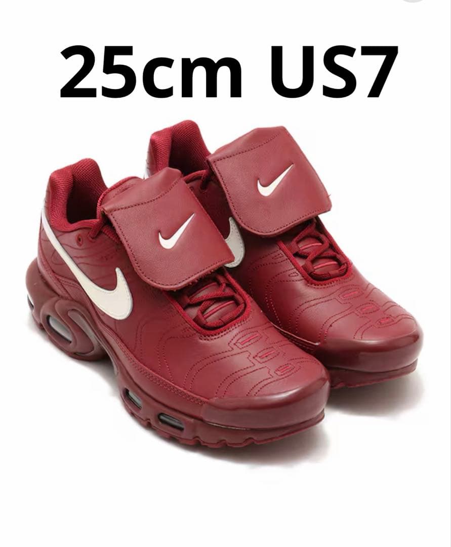 Nike air max plus tiempo ティエンポ