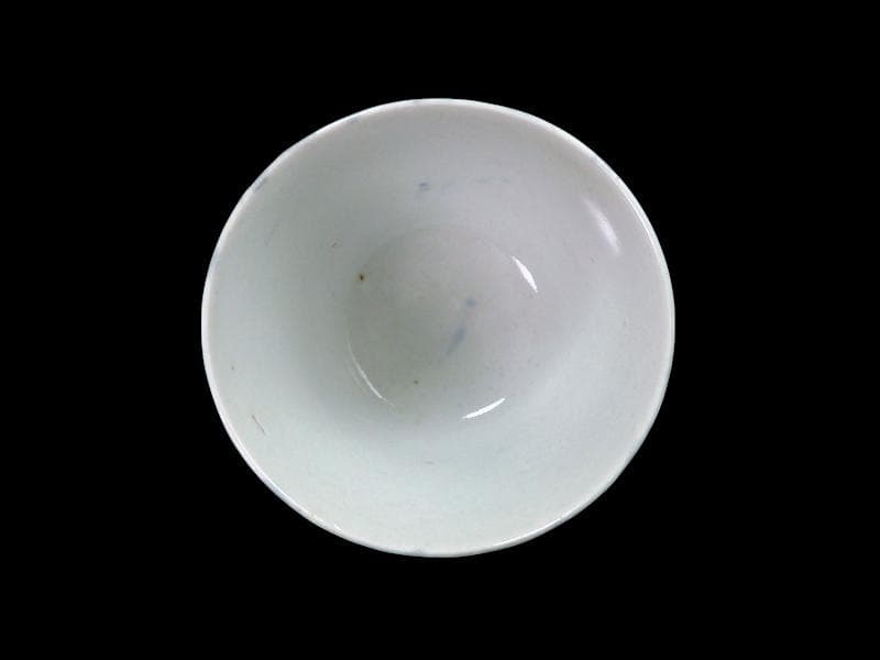 古伊万里　染付　藤の図　大振蕎麦猪口　江戸期　C038AS-CXa