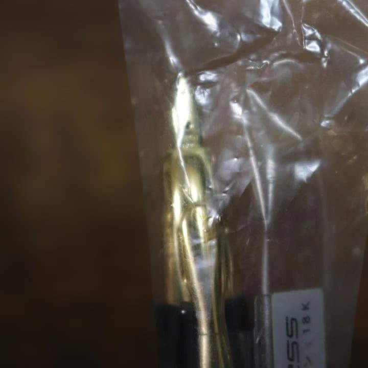 【PILOT】万年筆　キャップレス　F字　18K