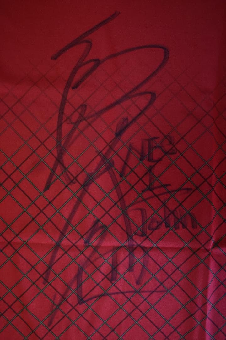 NECレッドロケッツ　島村選手　サイン入りユニフォーム　日本代表