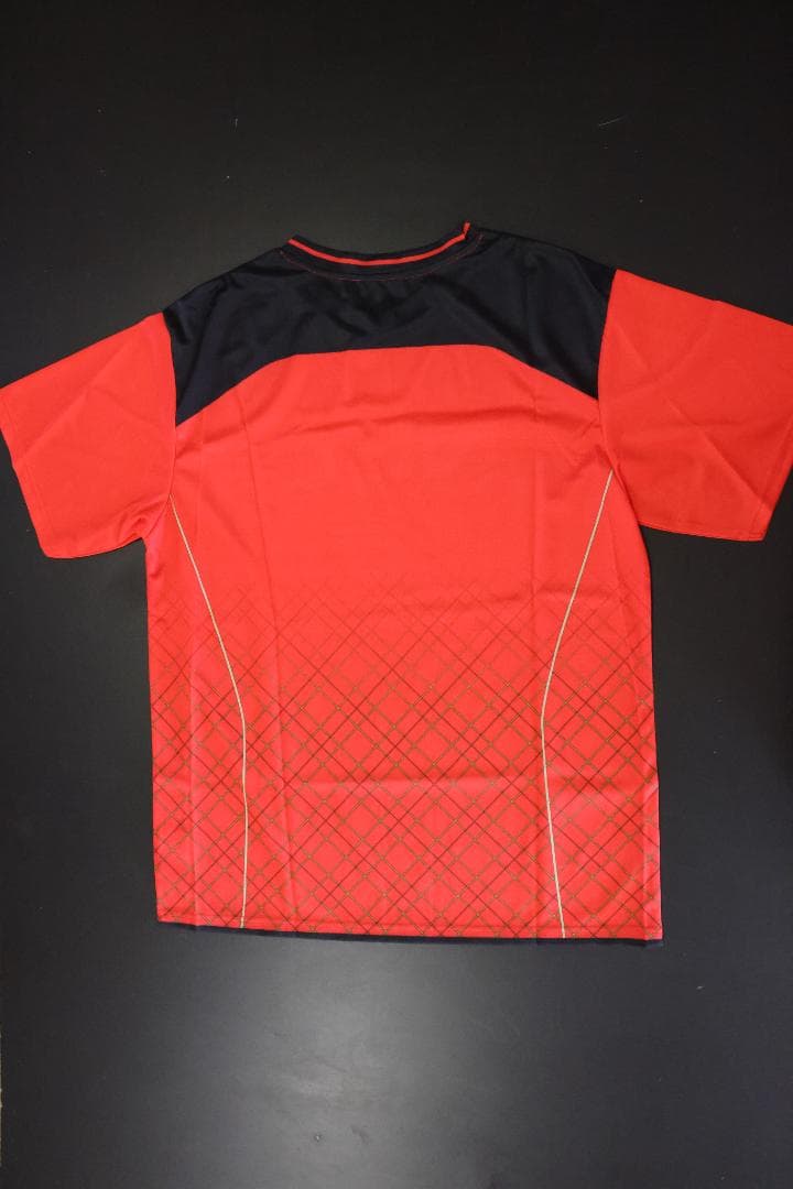 NECレッドロケッツ　島村選手　サイン入りユニフォーム　日本代表