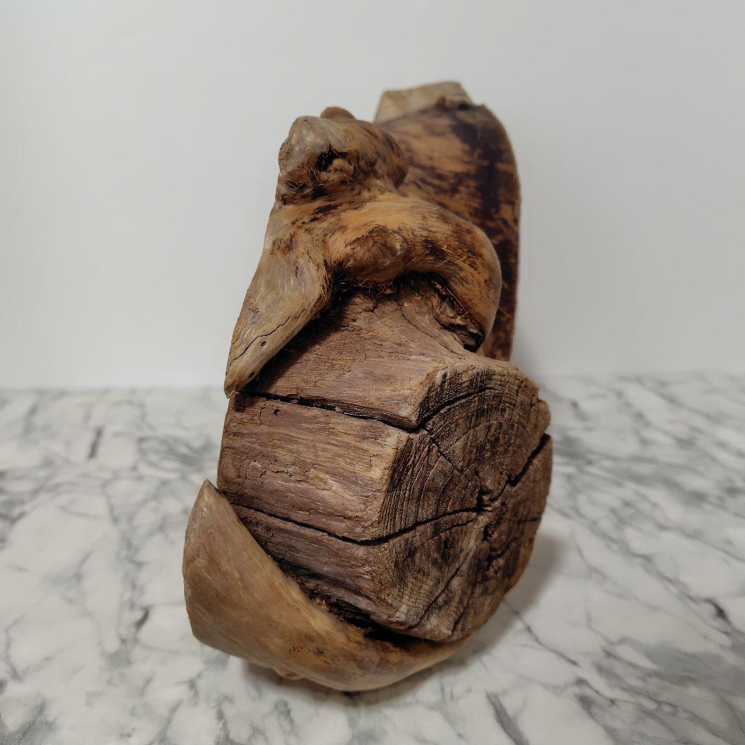 アク抜き済み流木【869】