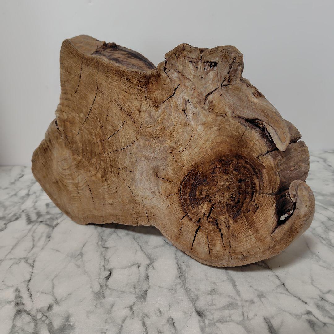 アク抜き済み流木【869】