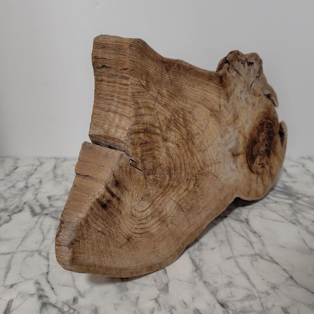 アク抜き済み流木【869】