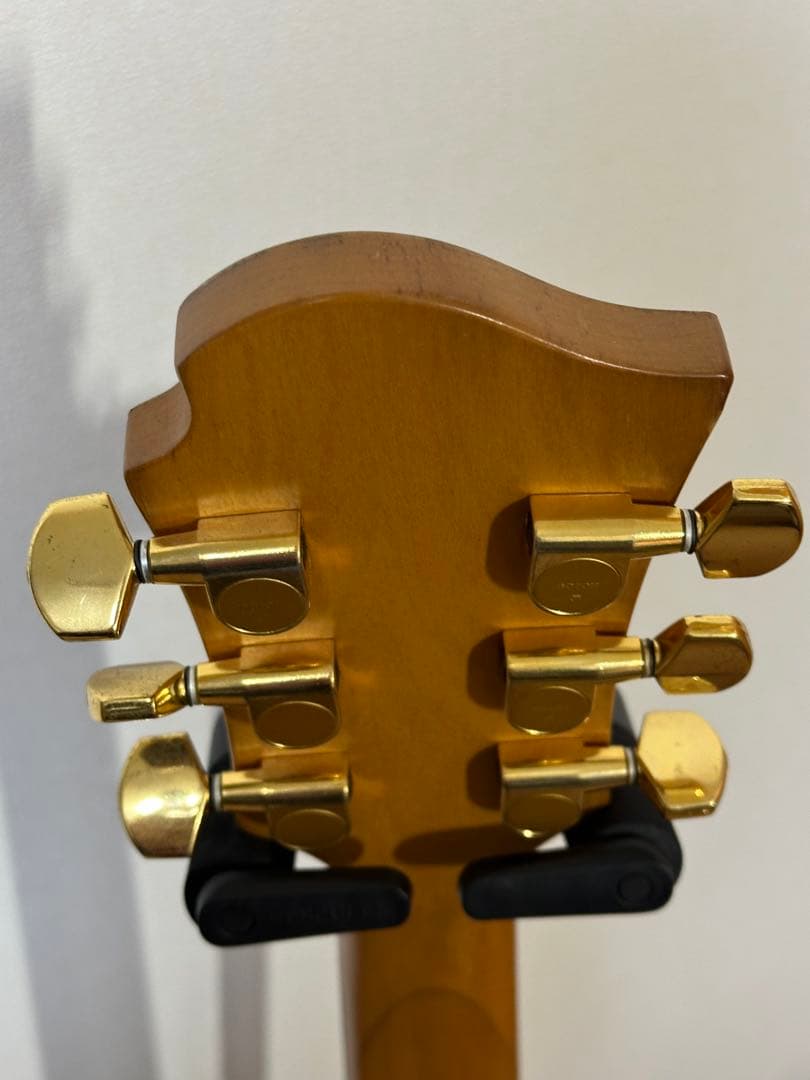 B*i様 FERNANDES フェルナンデス　Burny mg-125s 後期