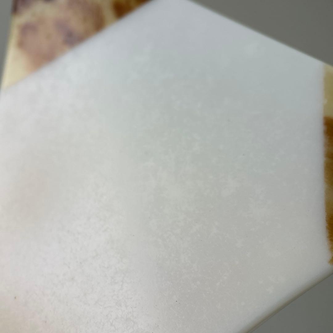 天然素材三味線バチ 専用ケース付きB008