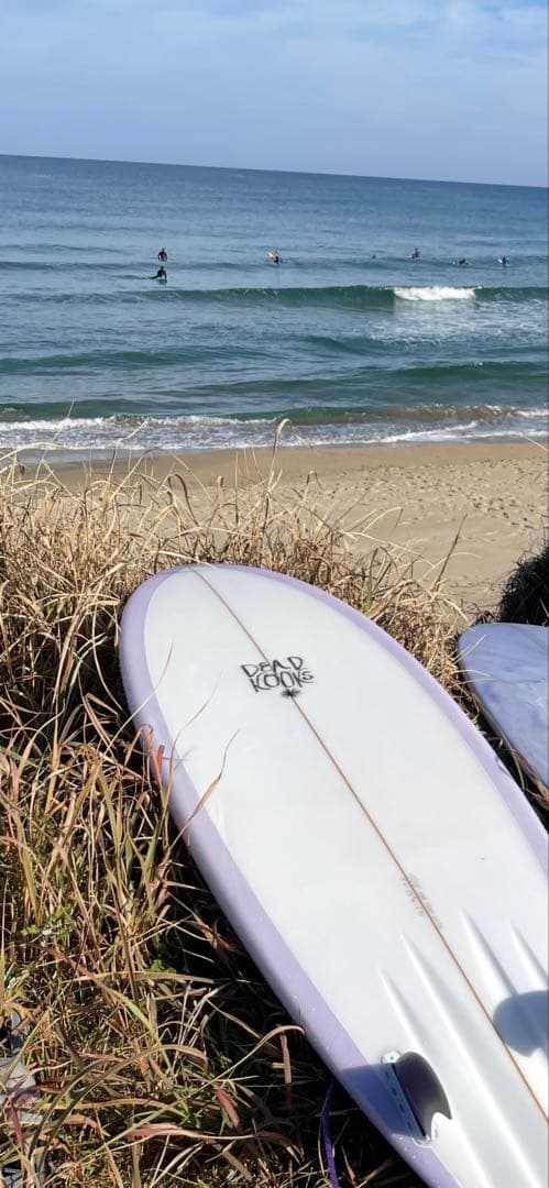 サーフィン・ボディボード deadkooks ying yang 6.6