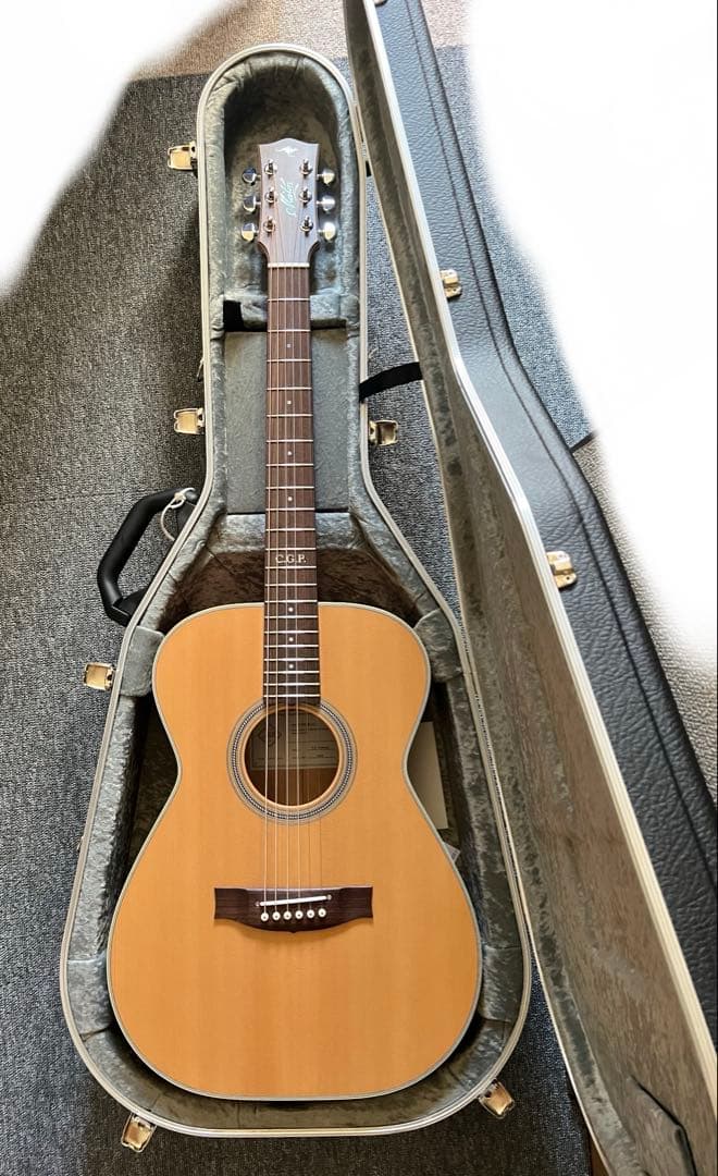 Maton MASTER BUILT - TE Personalメイトントミエマ