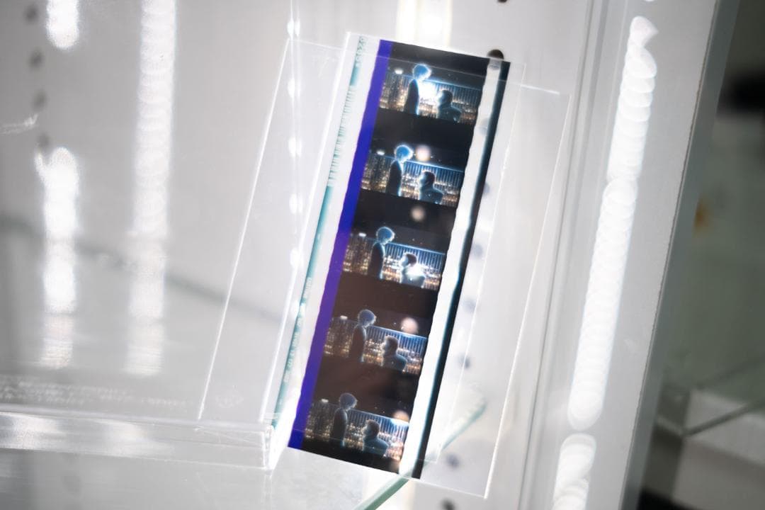 涼宮ハルヒの消失　フィルム　劇場特典　配布品　非売品