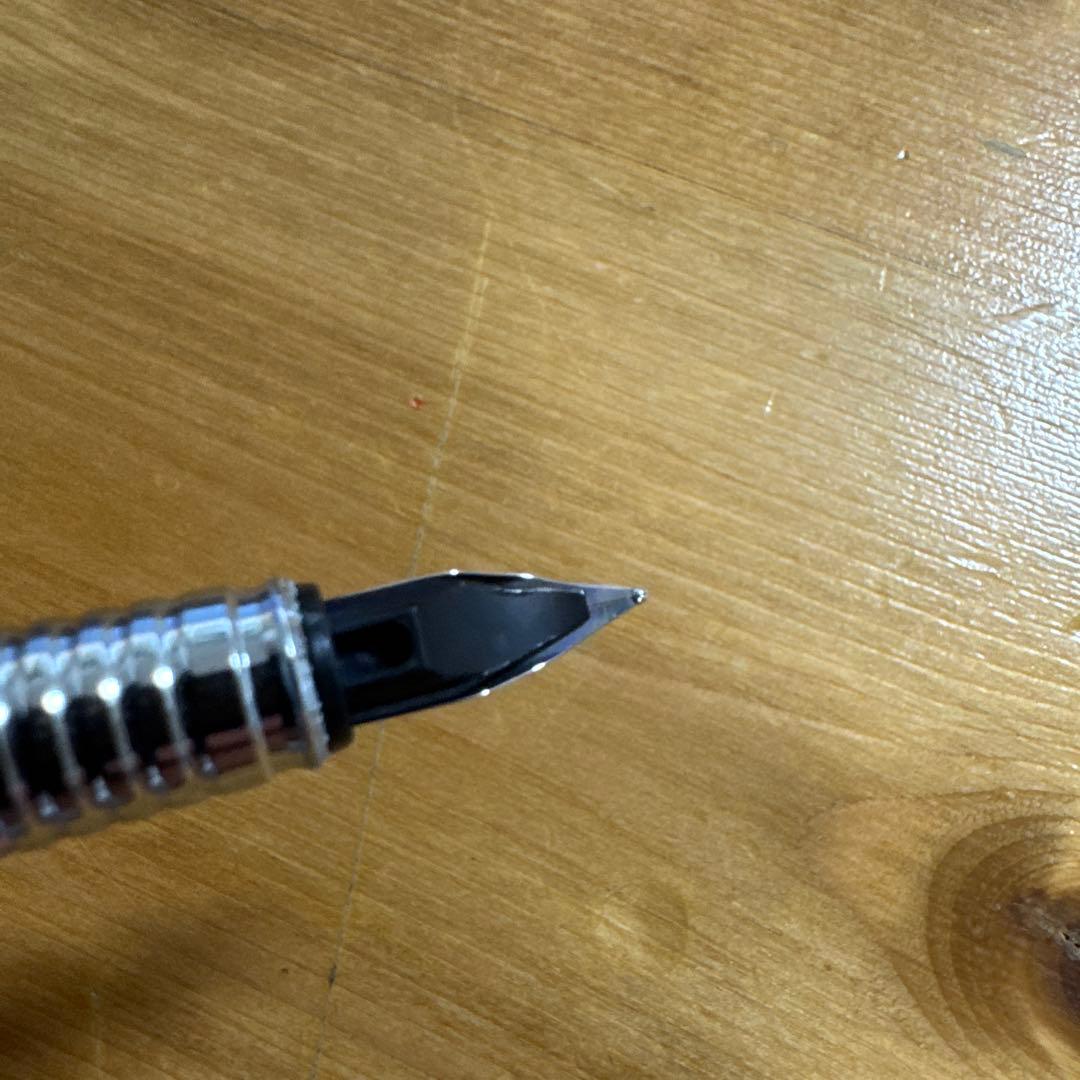 rotting 900 万年筆 Fニブ