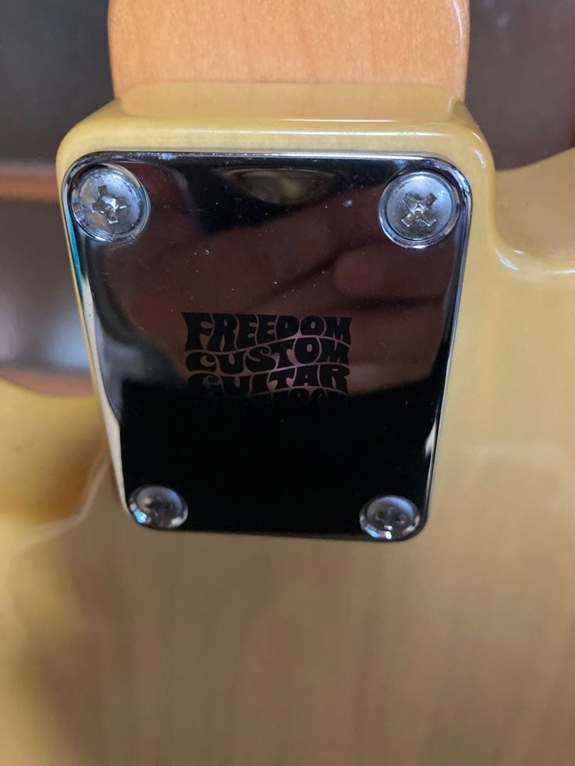 テレギブ！Seymour Duncan搭載　ほぼ新品