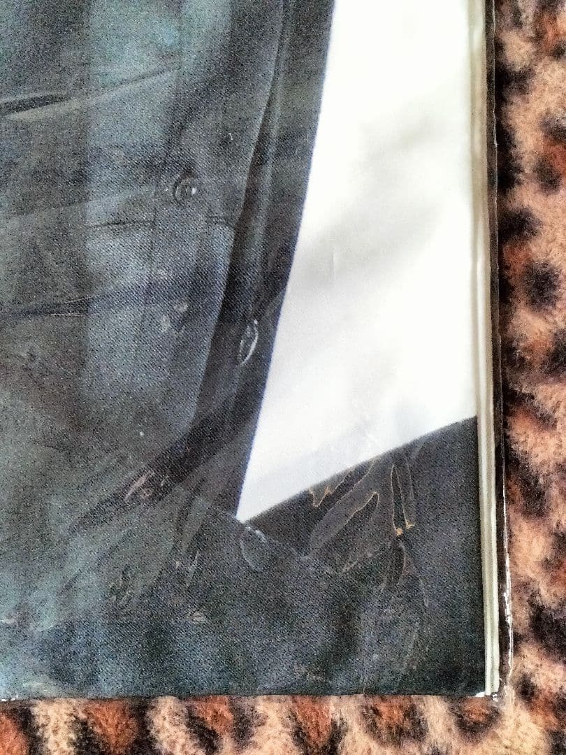 【未使用品】BUCK-TICK〈添い寝シーツ〉