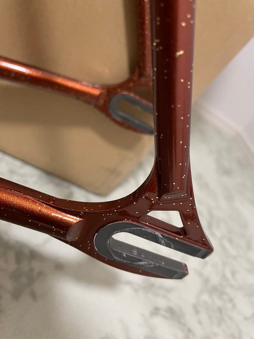 RINSEILAB 鉄フレーム　ピスト　　NJS認定