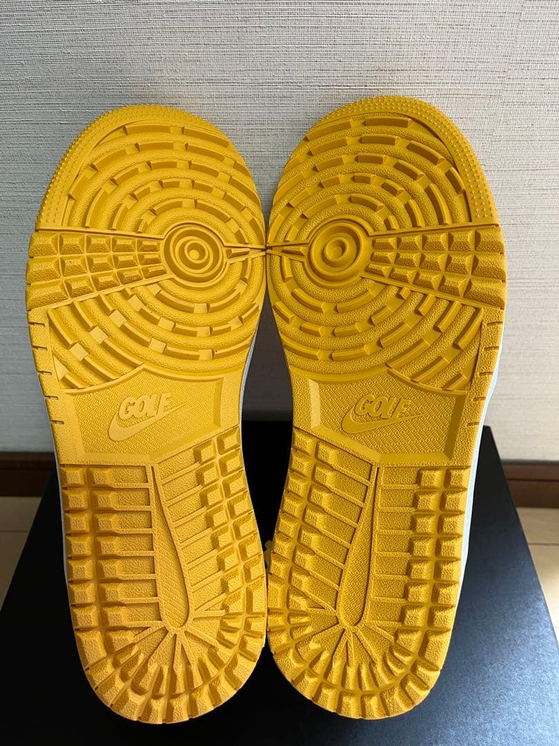 シューズ(男性用) NIKE AIR JORDAN 1 HIGH G 27.5cm