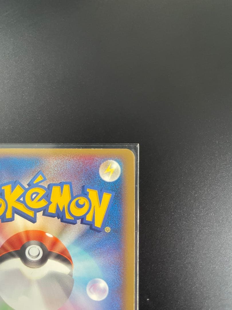 ハ*ス様 ポケパークのピカチュウ 004/009