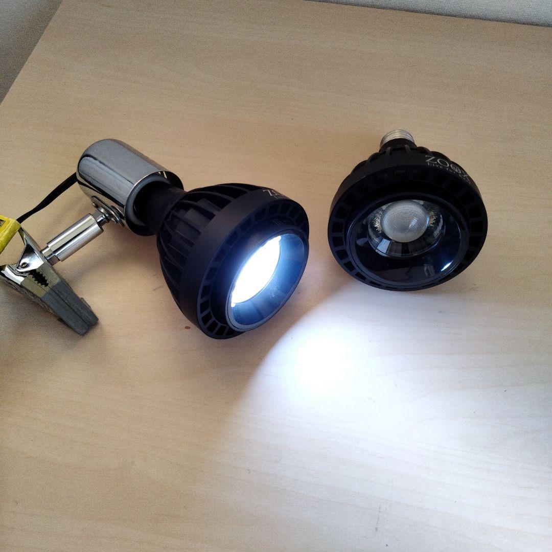 ZOOX LED RAYS Shallow Reef×2　レディオクリップS×1