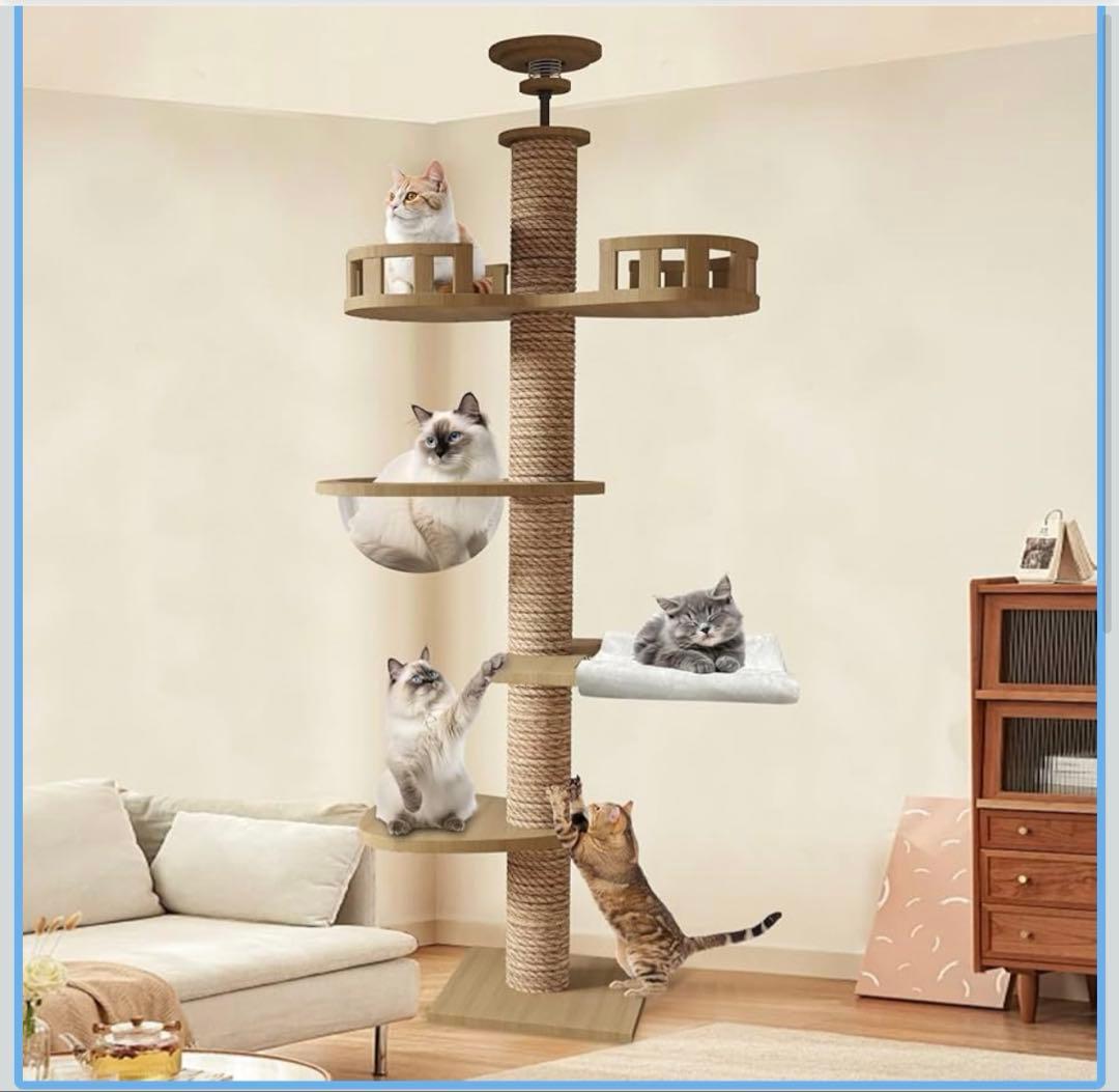 早い者勝ち❣️突っ張り型キャットタワー 235-260cm 360°透明カプセル付