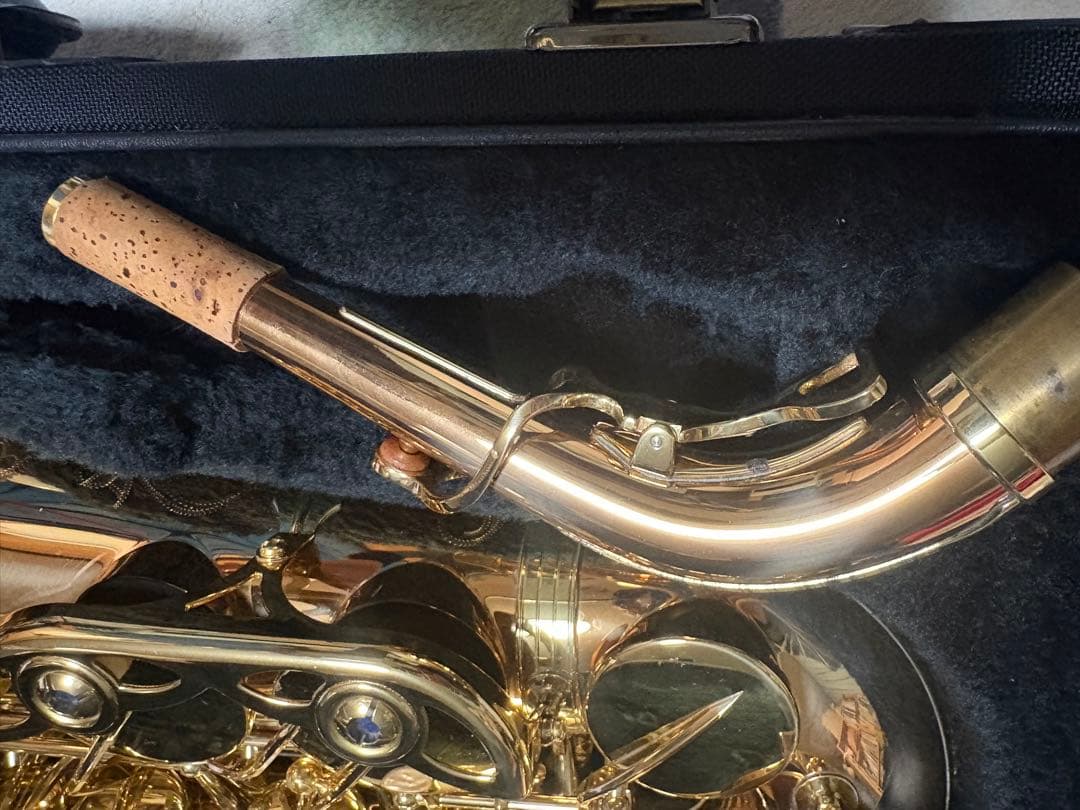 ヤナギサワアルトサツクスWO20 本体