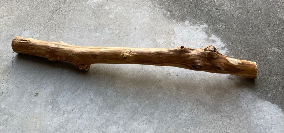 希少　樹齢150〜200年　杉枝　約126cm 鑑賞　庭　インテリア 骨董　華道