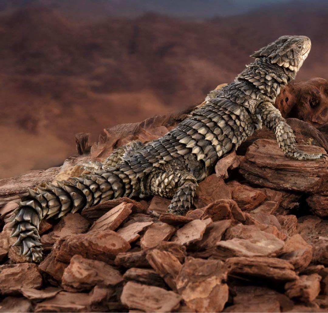 いきもの大図鑑アルティメット オオヨロイトカゲ 新品未開封 ③