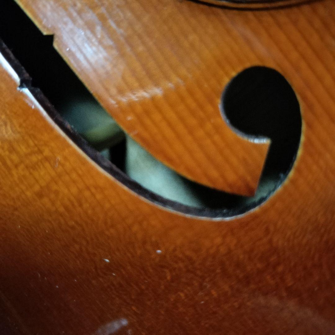 完全最終値下 ピグマリウス スタンダード 4/4 2020 イーストマンケース付