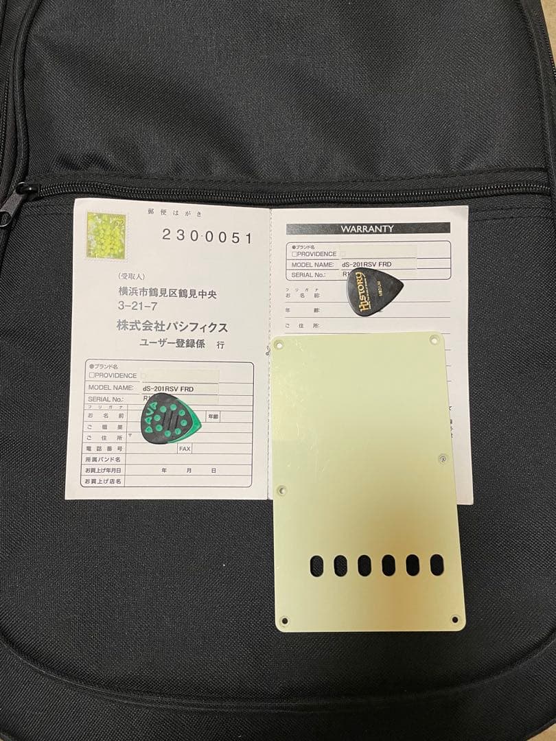 Providence ds201RSV FRD、ライトレリック、SSH、調整済