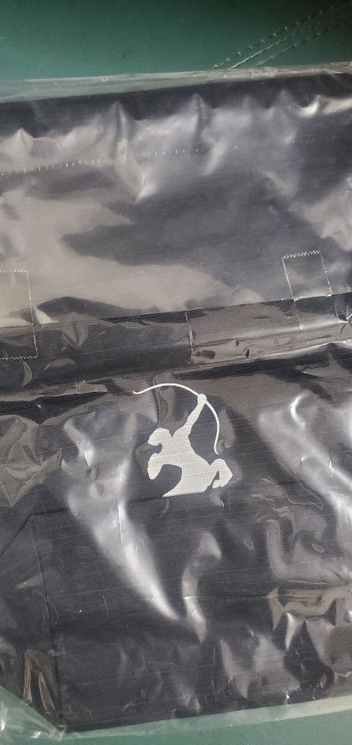 JRA 阪神競馬場　クロワデュノール　イクイノックス　ディープインパクト　帯封