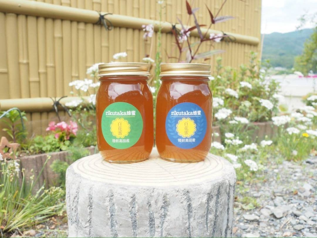 日本ミツバチ濃厚蜂蜜（秋蜜、600g✕3）