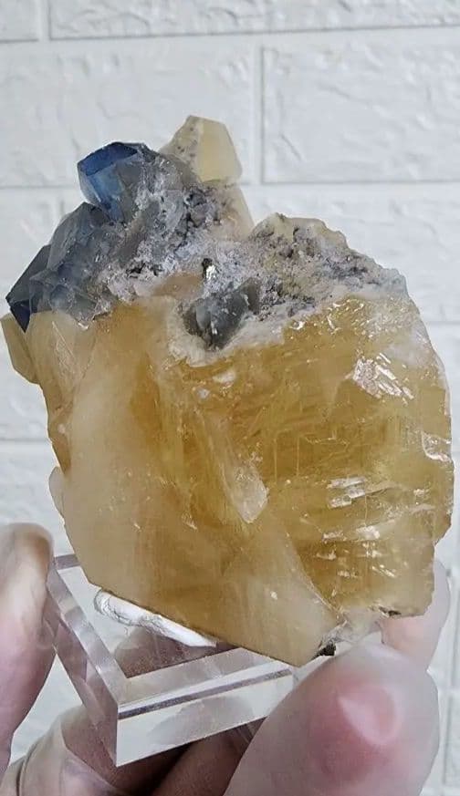 金色の方解石の上に蛍石