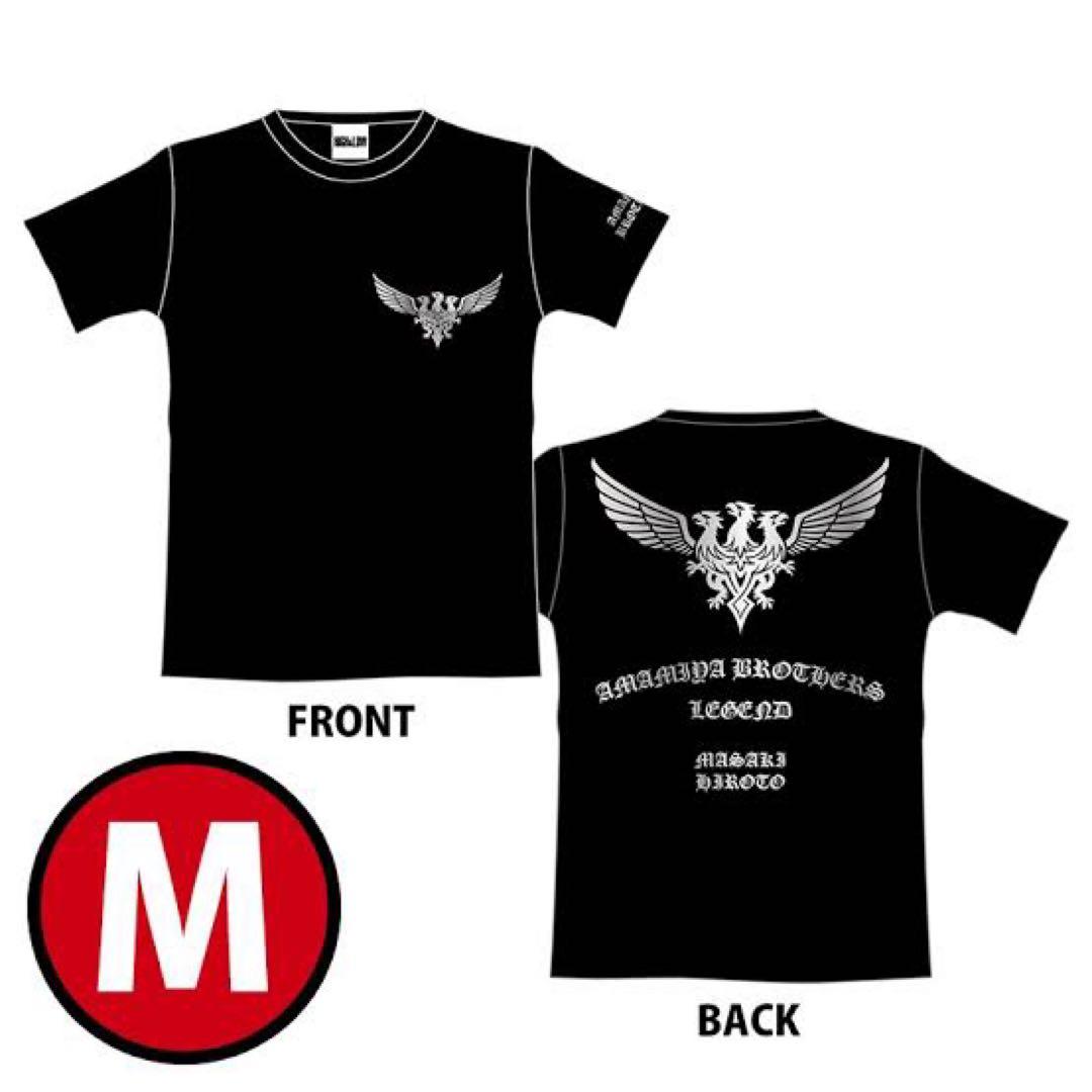 HiGH&LOW チームTシャツコンプリートセット