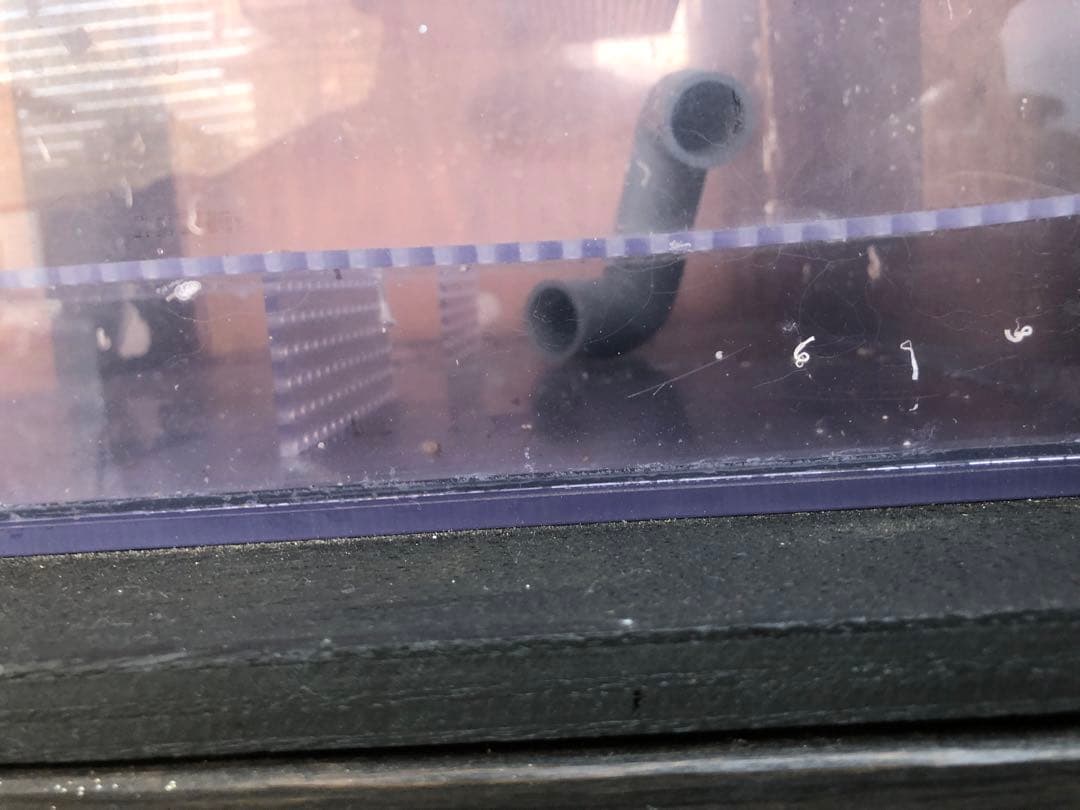 引き取り・配達限定　オーバーフロー水槽1式