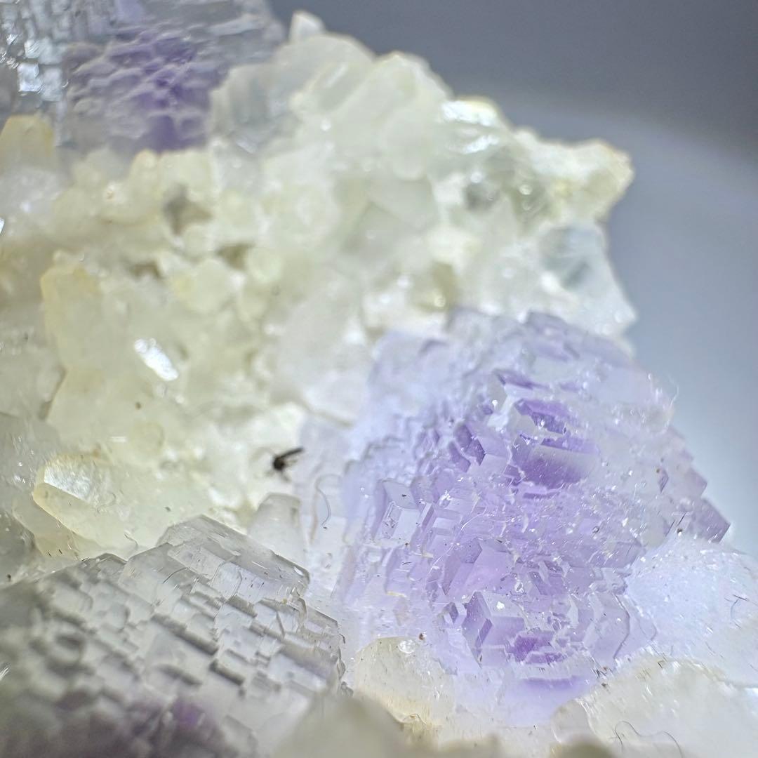 442 中国　シャンバオ鉱山産　フローライト