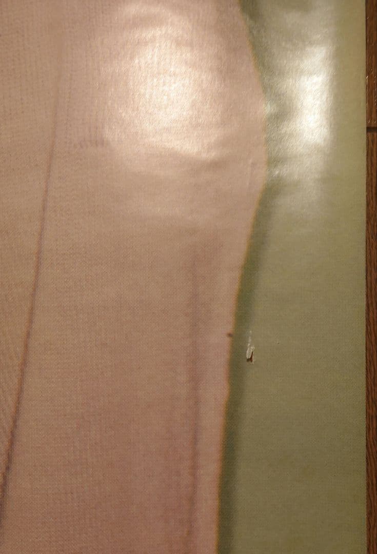 松本ちえこ　等身大ポスター　激レア