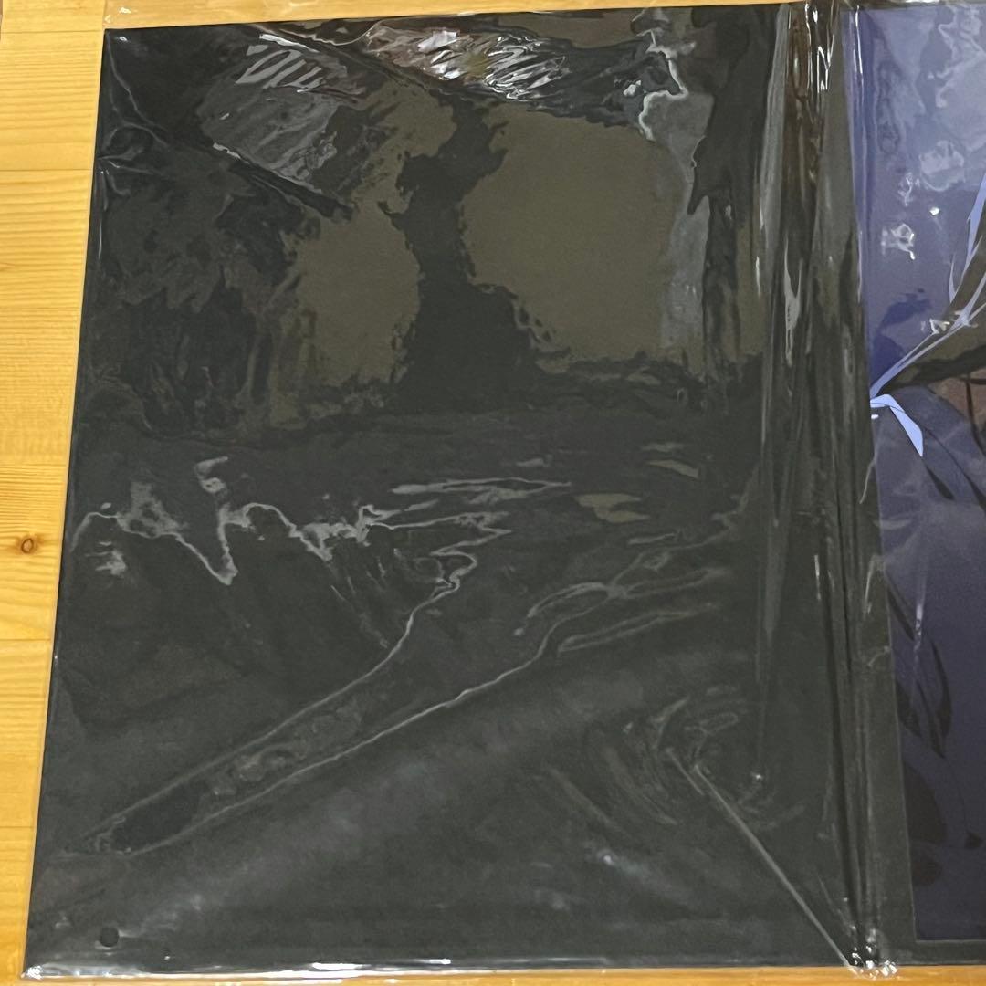 チェンソーマン　アニメイト　全巻購入特典　A4ポートレート　早川アキ　グッズ