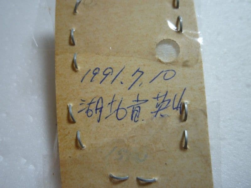 【外国産コメツキムシ標本】ノブオオオアオコメツキ/湖北省.英山産/35.8mm