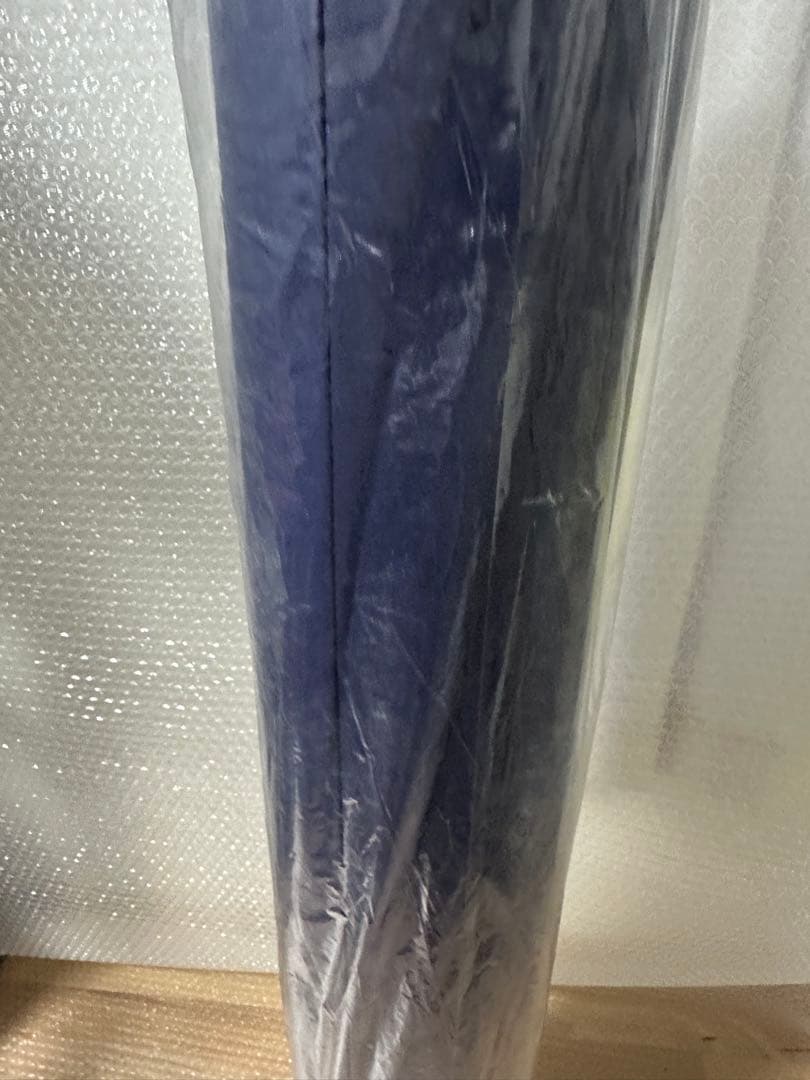 早い者勝ち ストレッチポール EX ネイビー　　DVD付 2020 LPN