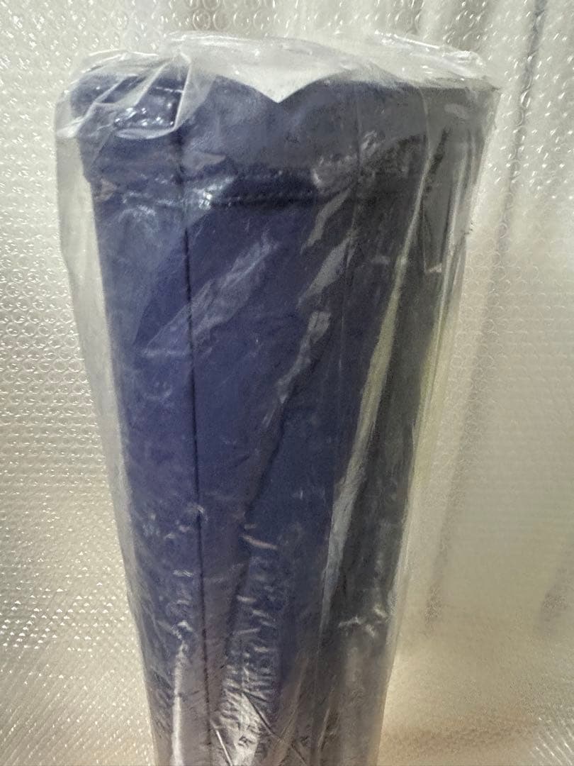 早い者勝ち ストレッチポール EX ネイビー　　DVD付 2020 LPN