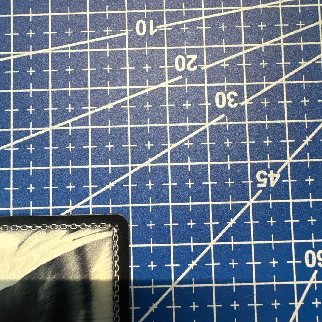 ヴァイス MyGO!!!!! 迷子のバンド 高松燈 SSP サイン　429